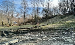 Прекрасный участок