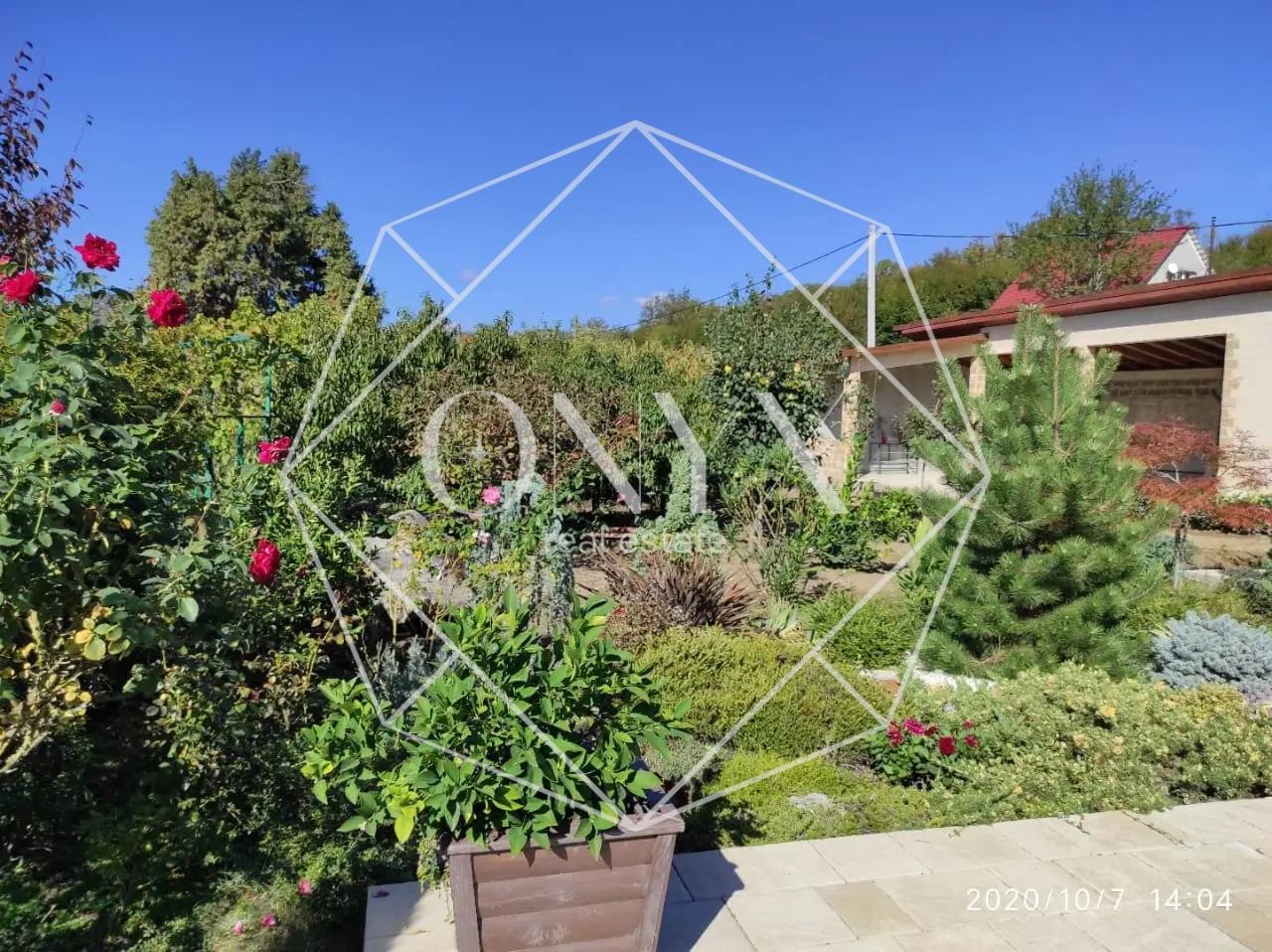 Изображение 22