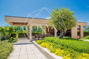 Изображение 7