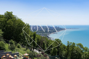 Изображение 11