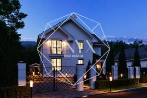 Изображение 12