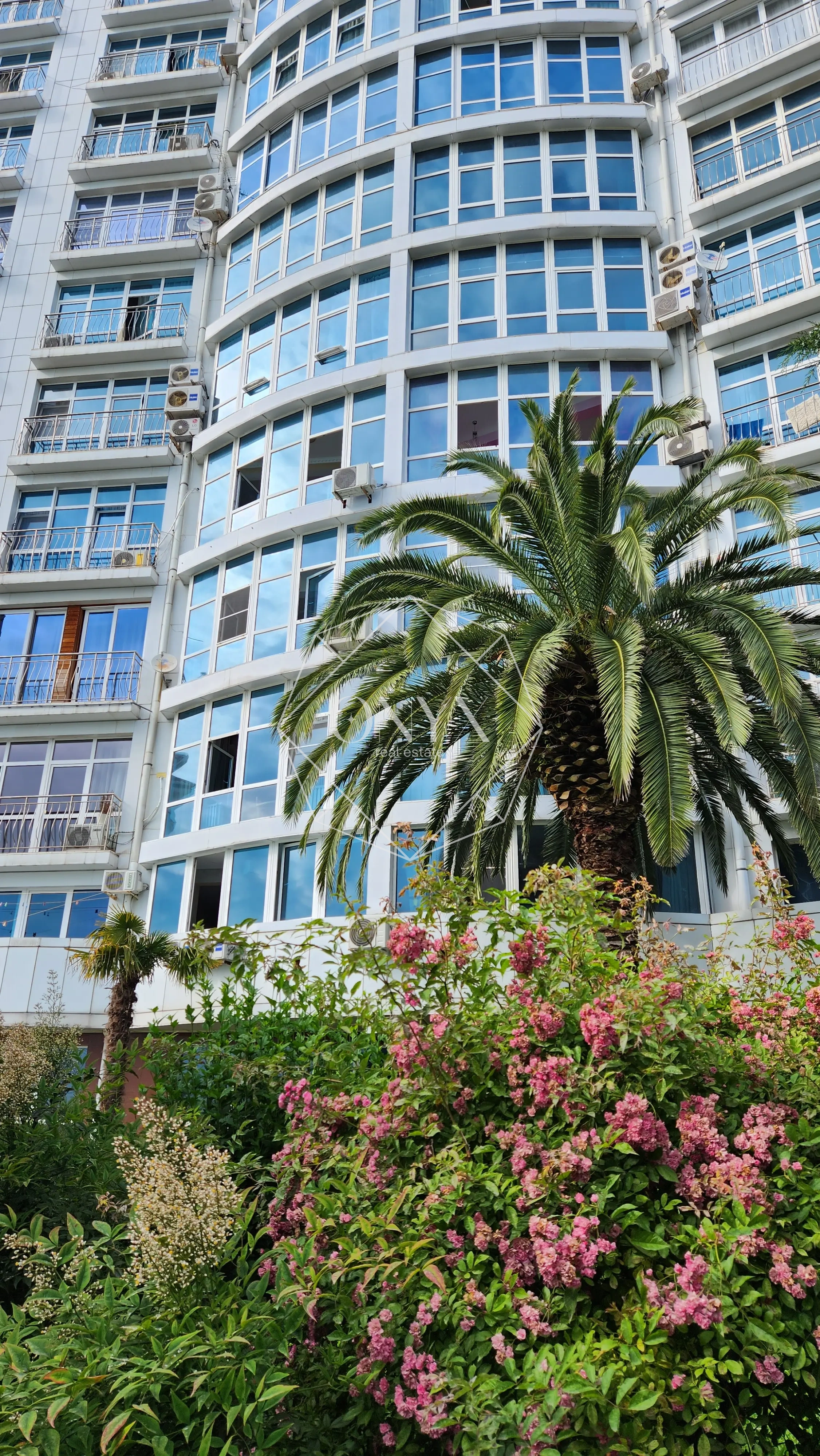 Изображение 21