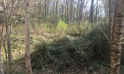 Продается участок в центральном районе г. Соч...