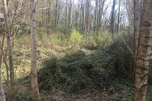 Продается участок в центральном районе г. Соч...