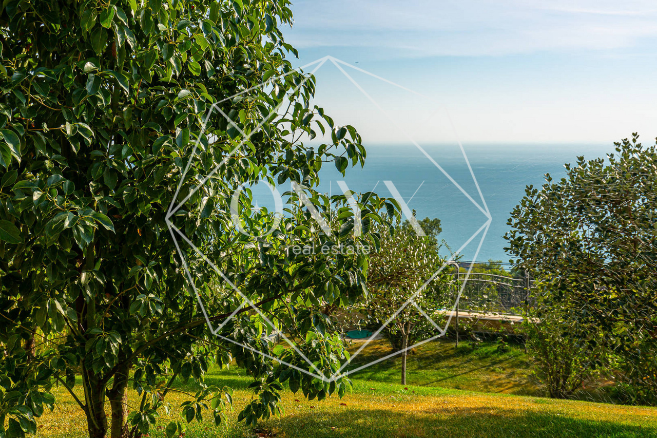 Изображение 40