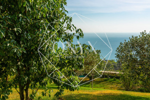 Изображение 40