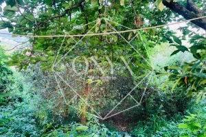 Изображение 14