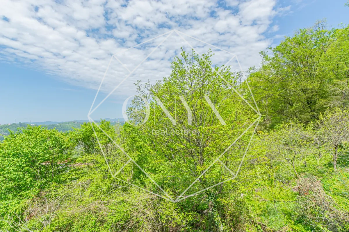 Изображение 19