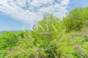 Изображение 19