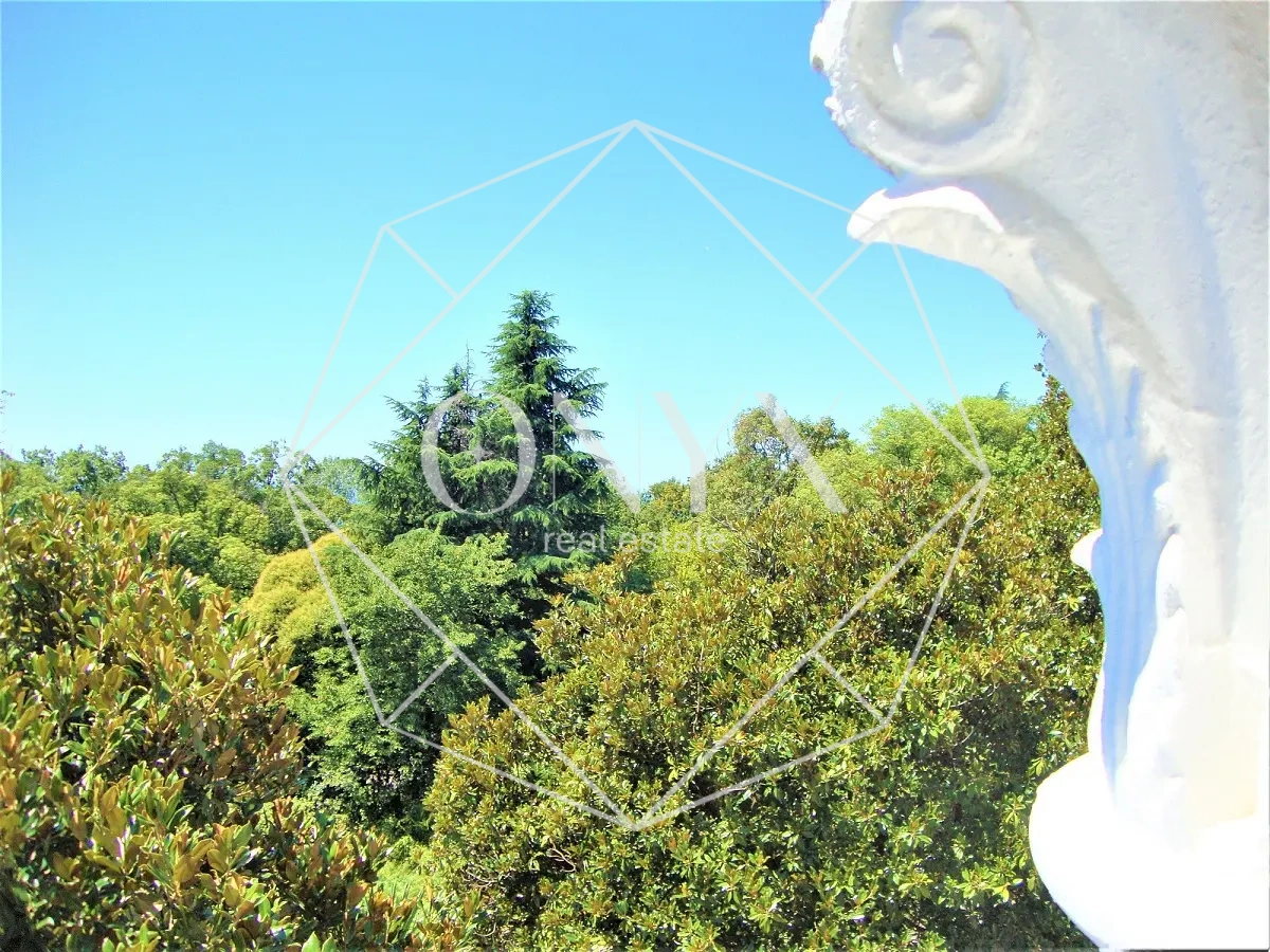 Изображение 14