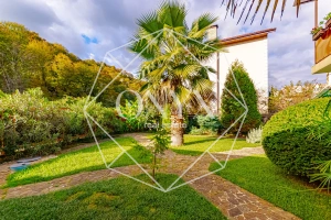 Изображение 27