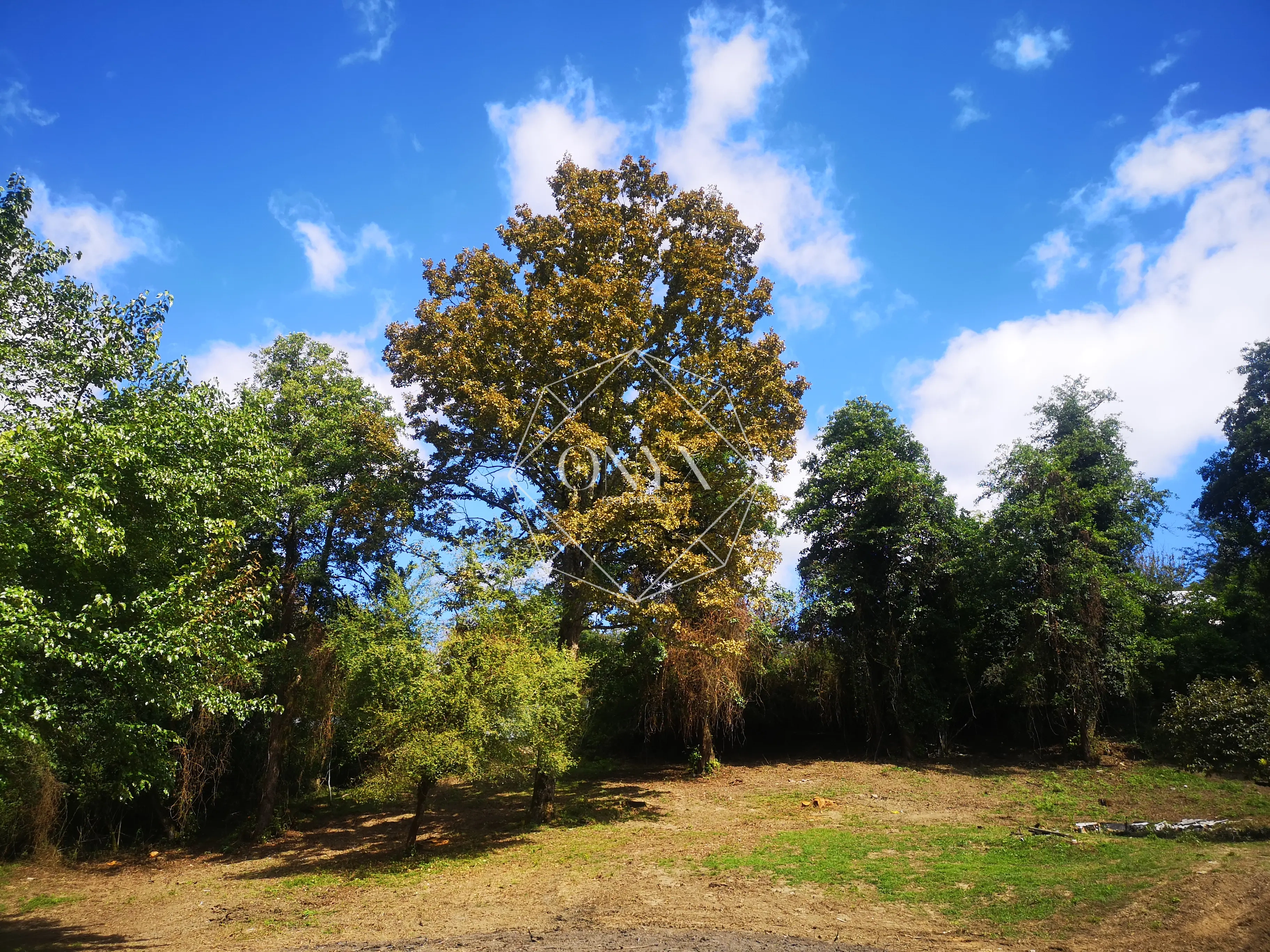 Изображение 8