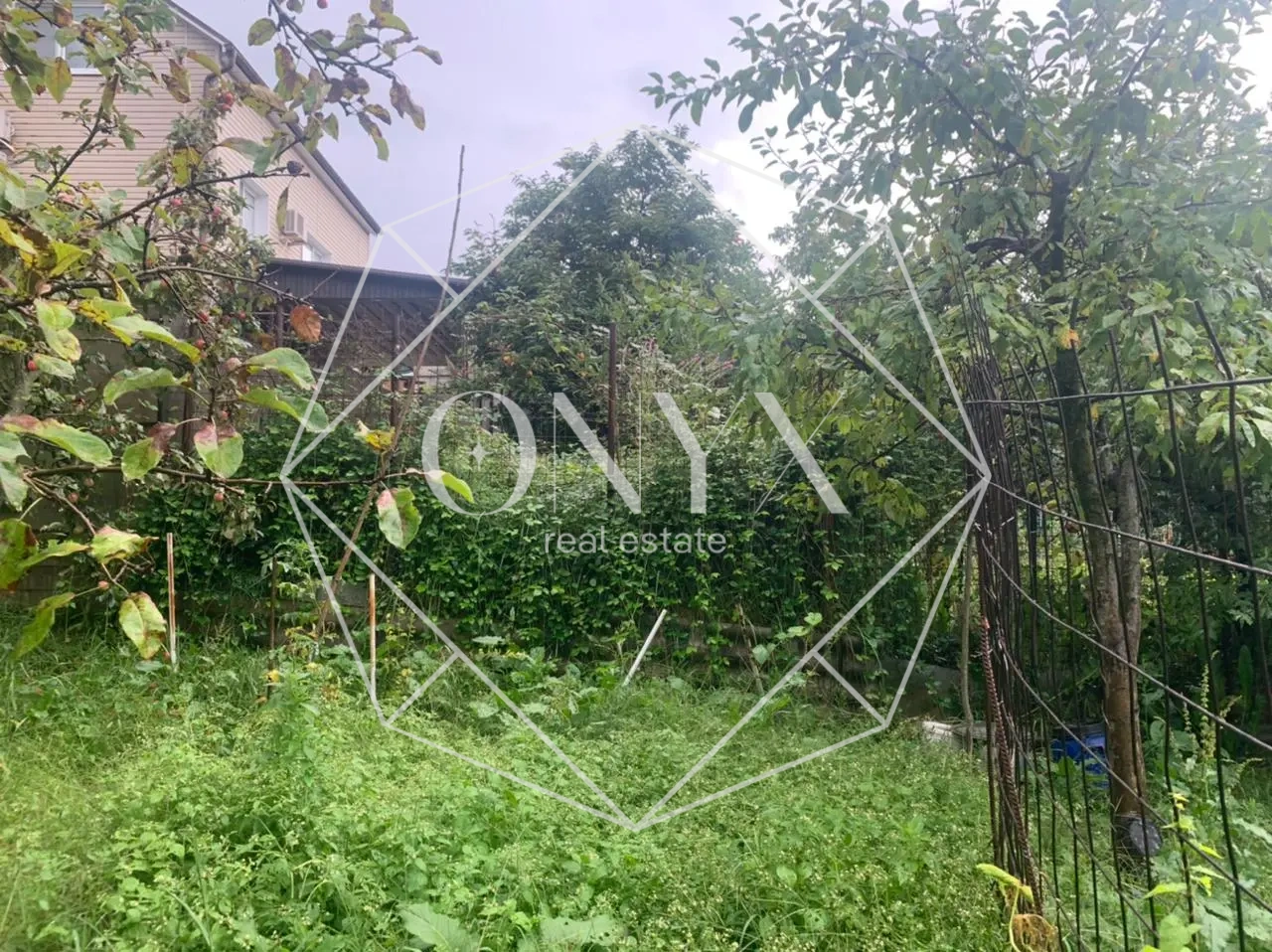 Изображение 8