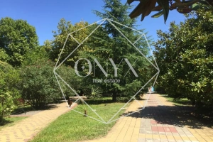 Изображение 60