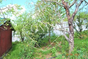 Изображение 10