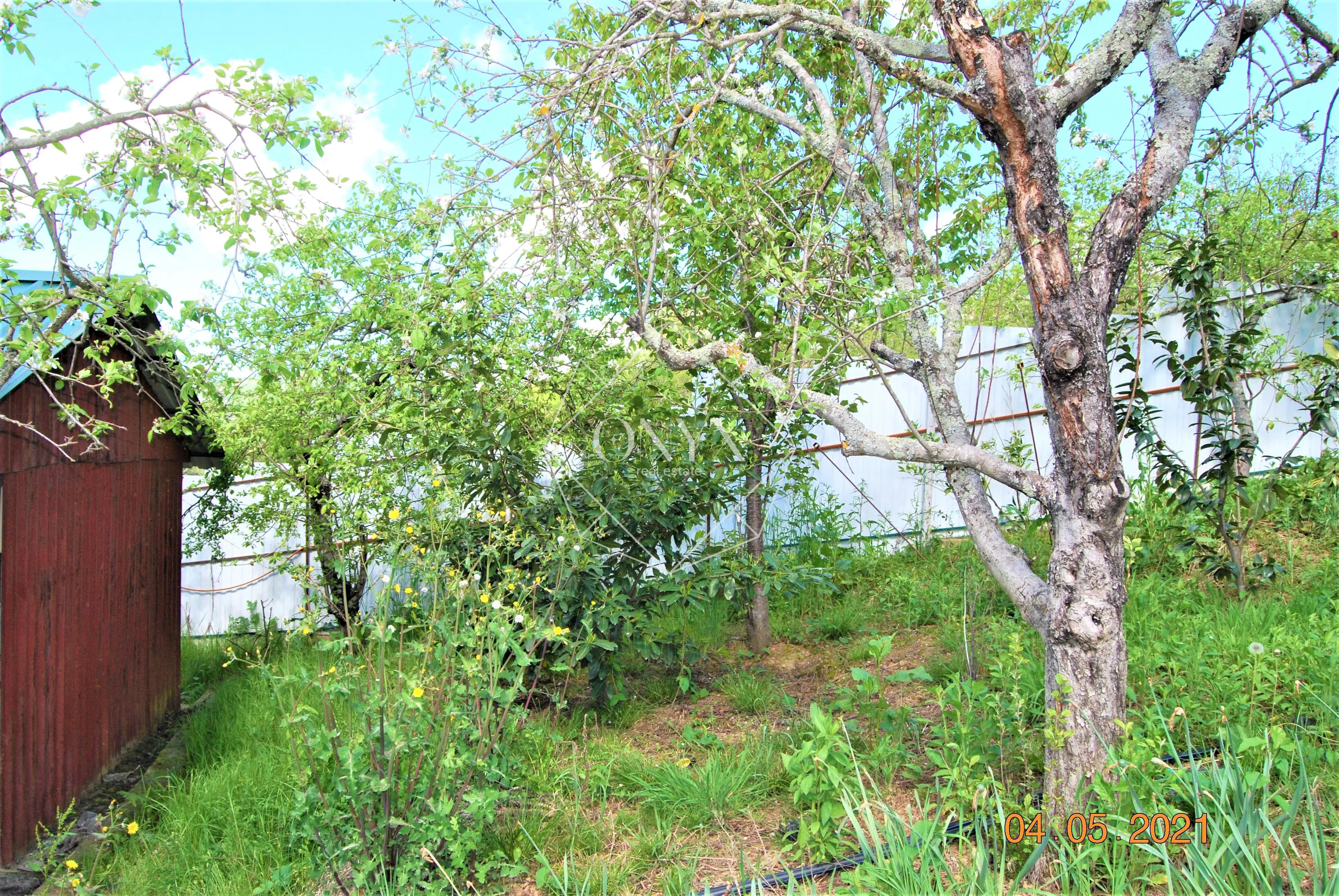 Изображение 10