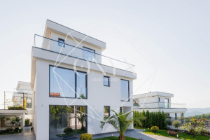 Изображение 11