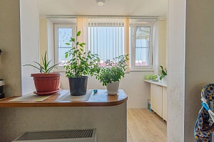 Однокомнатная квартира 