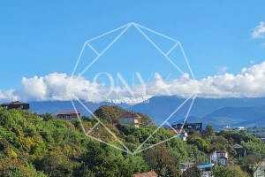 Изображение 21