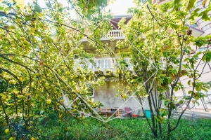 Изображение 28