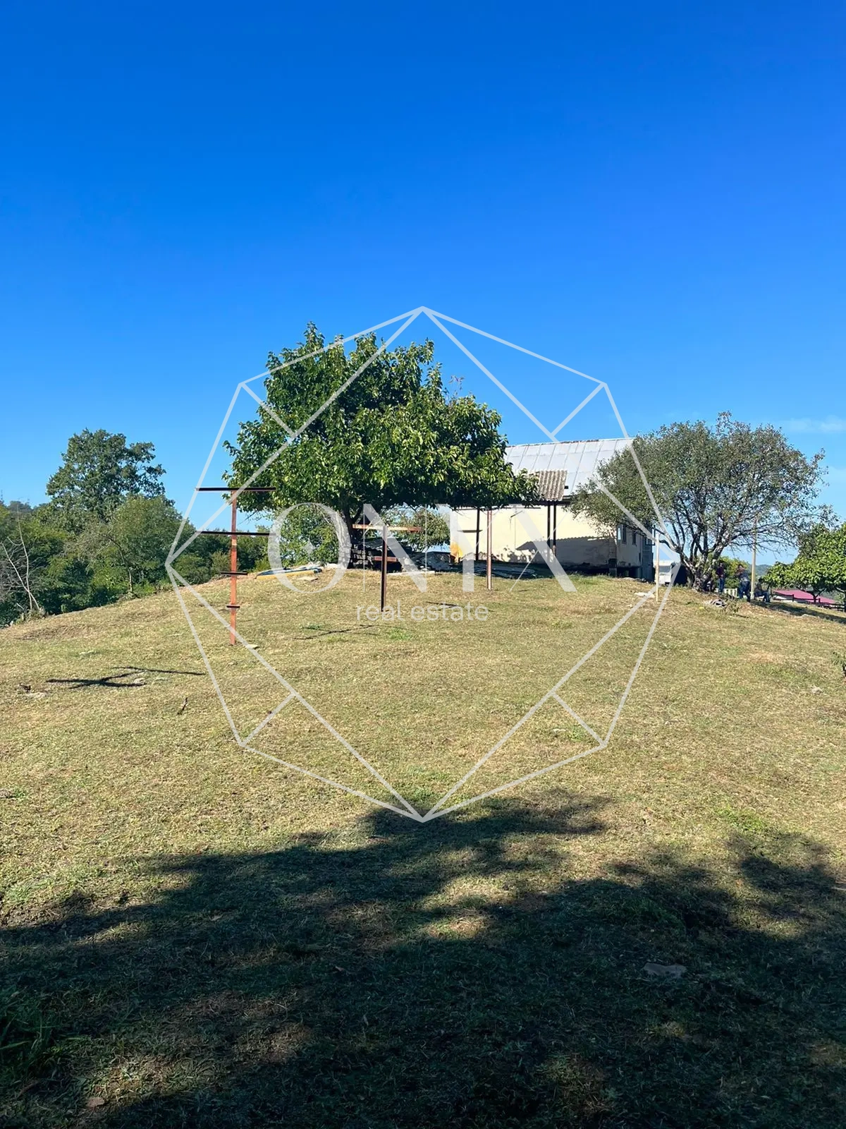 Изображение 17