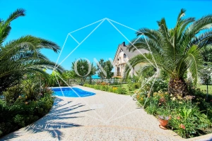 Изображение 29