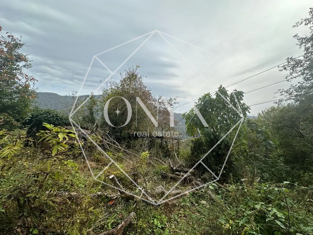 Изображение 12