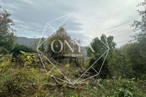 Изображение 12