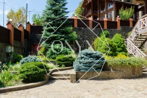 Изображение 11