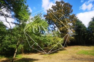 Изображение 15