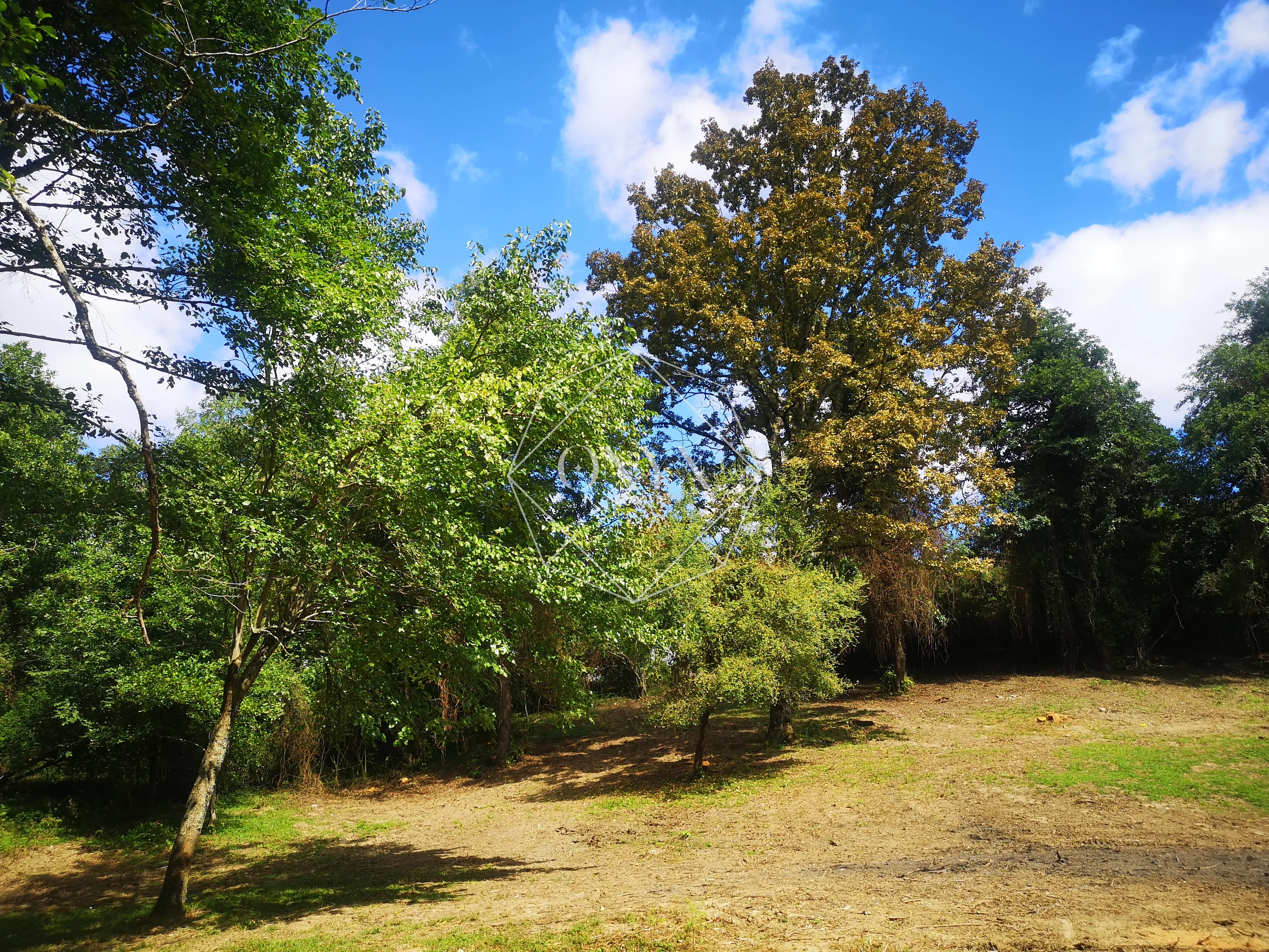 Изображение 15