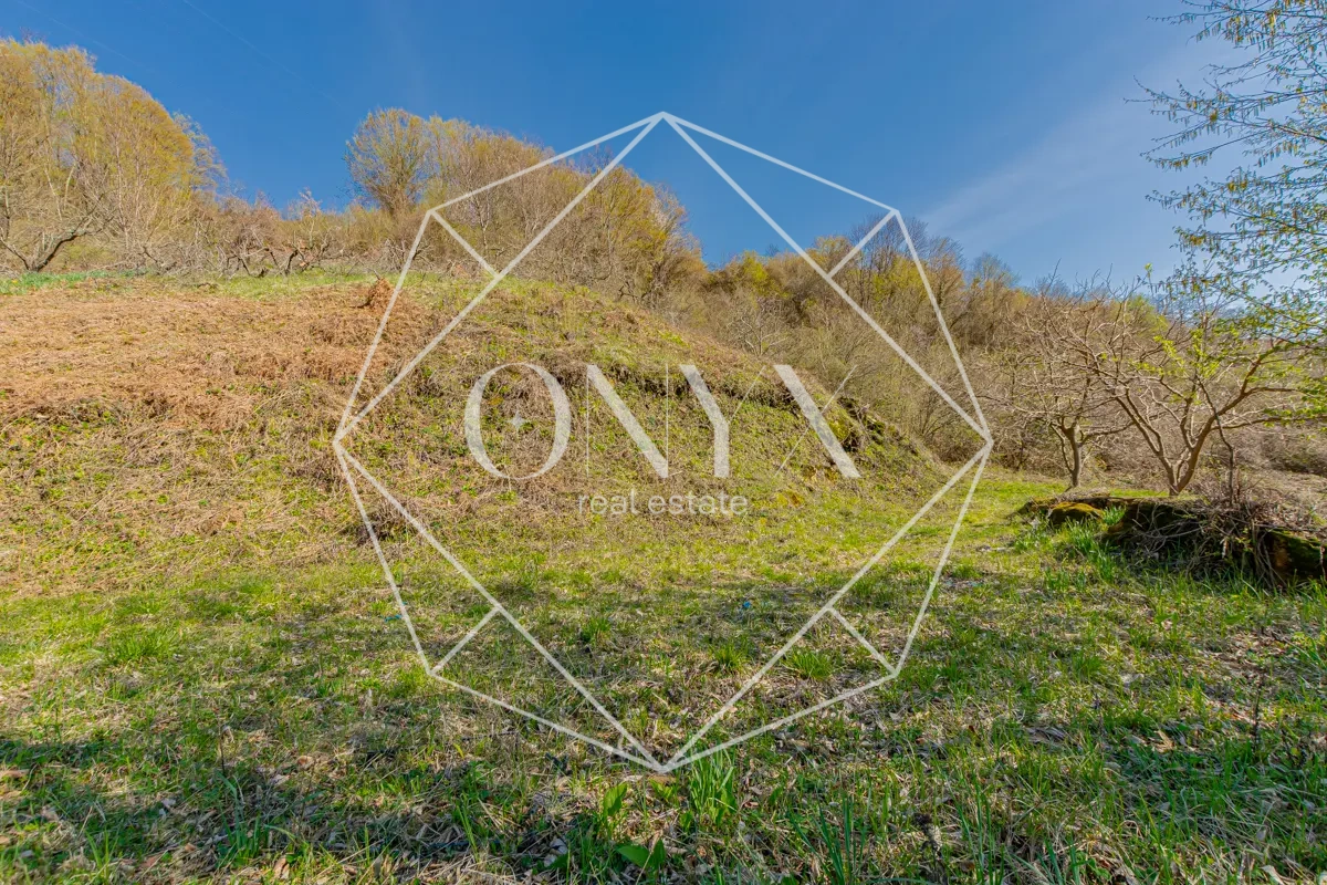 Изображение 10