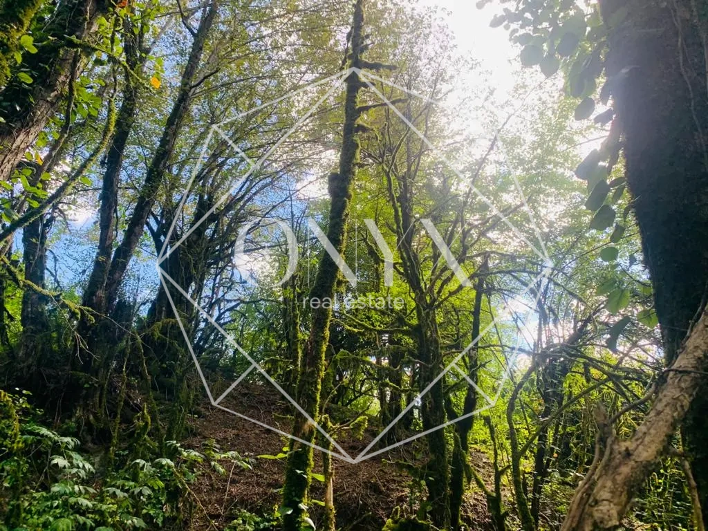 Изображение 11