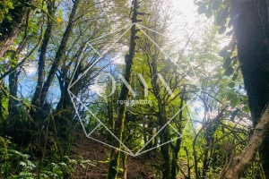 Изображение 11