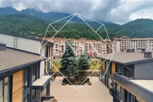 Изображение 11