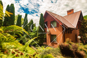 Изображение 17