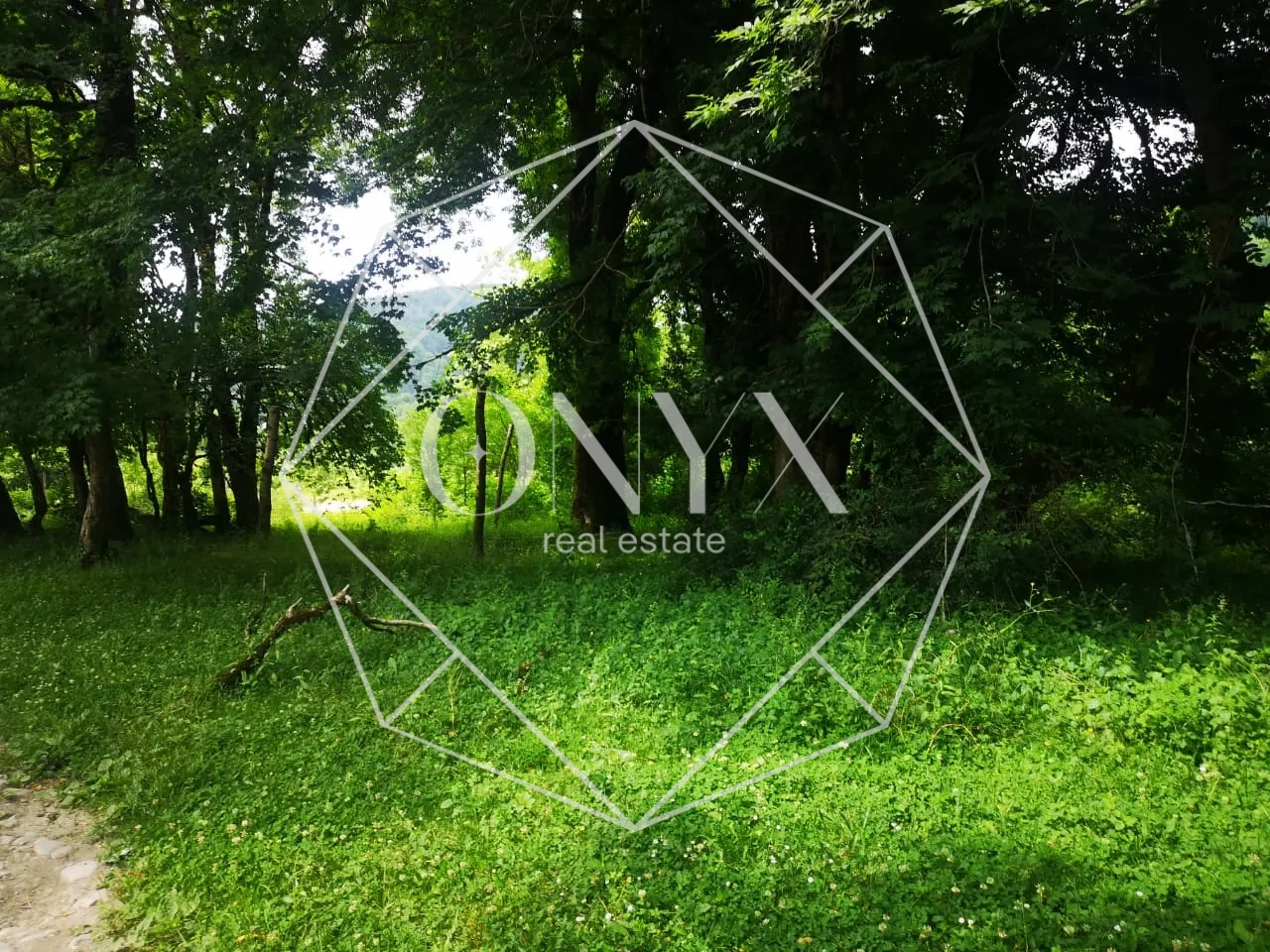 Изображение 22