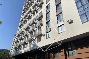 Изображение 8