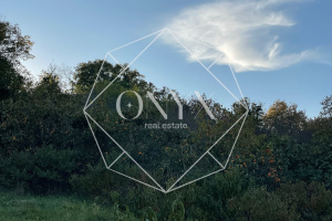 Изображение 16