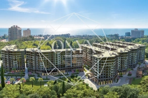 Изображение 12