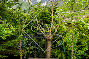 Изображение 34