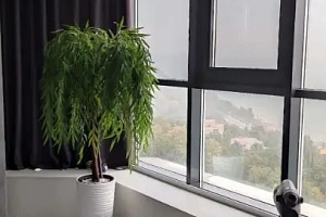 Двух комнатная квартира с видом на море в Соч...