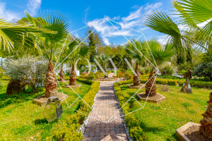 Изображение 9