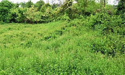  Продам земельный участок, в с. Нижняя Шиловк...