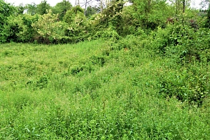  Продам земельный участок, в с. Нижняя Шиловк...