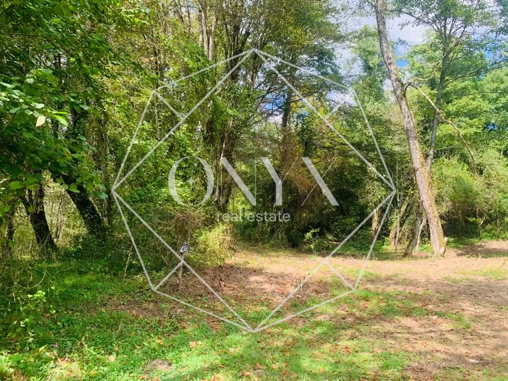 Изображение 9