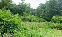 Отличное предложение