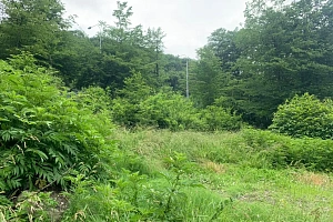 Отличное предложение