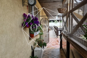 Изображение 12