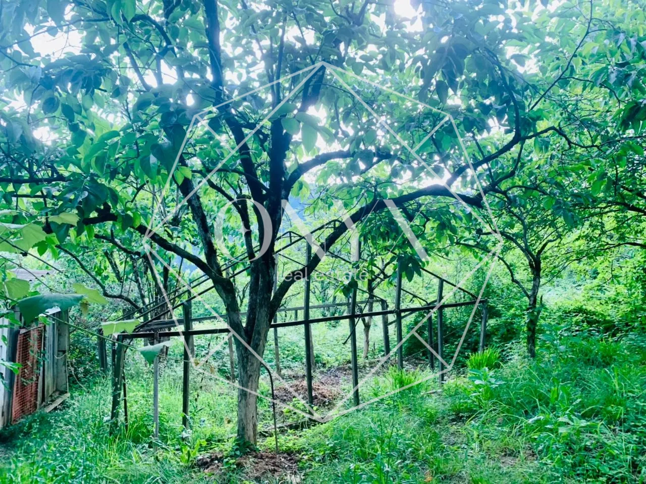 Изображение 7